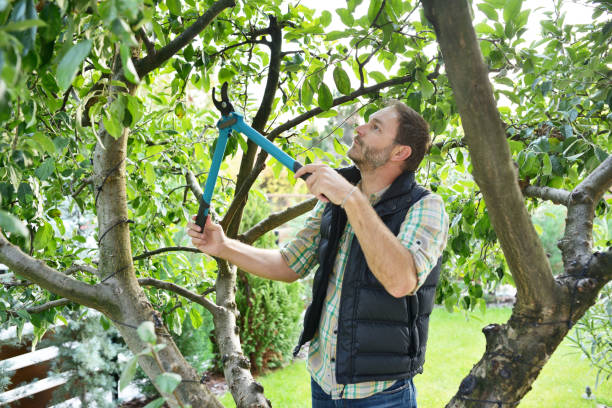 Best Lawn Watering Services  in East Freehold, NJ